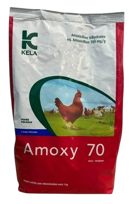 AMOXY 70 SH 1 Kg